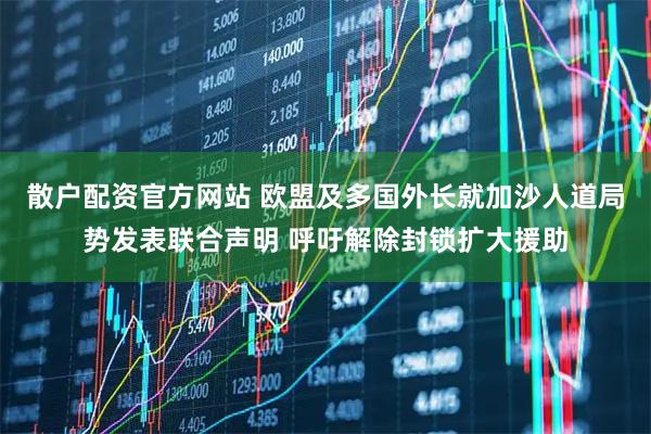 散户配资官方网站 欧盟及多国外长就加沙人道局势发表联合声明 呼吁解除封锁扩大援助